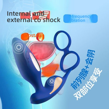 Sihande Microcurrent Stimulation 5-Frequency Electric Shock Dual Motor Strong Intensity Prostate Massager