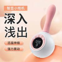 Wonderland Smart Display LCD Screen Stretching Shock Heating Cannon Machine