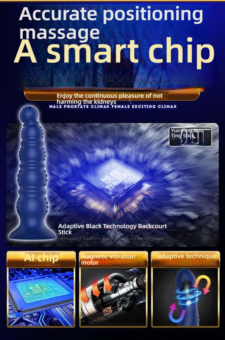 DMM Assault: Remote Controlled Anal Stopper for Prostate Stimulation in the Posterior Chamber
