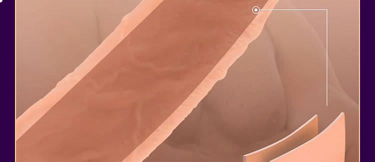 COC Bold Satisfying External Soft and Internal Hard Simulation dildo (Beginner's Caution)