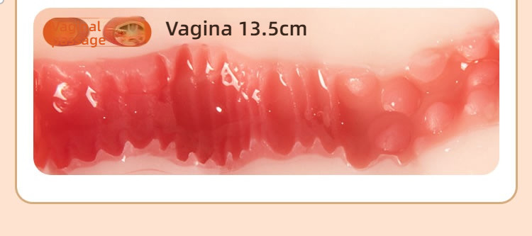 COC plump and chubby girl with a full and fleshy texture, a famous vessel