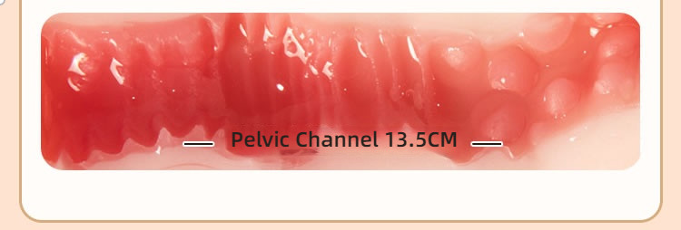 COC plump and chubby girl with a full and fleshy texture, a famous vessel