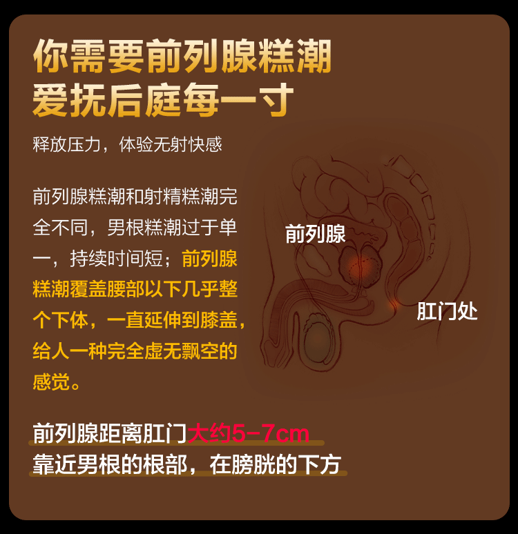 German Nomitang Spotty RC Spotty Prostate Massager Remote Control Premium Edition Advanced Edition Second Generation