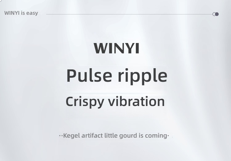 WINYI Kegel Vaginal Exercise Ball for Pelvic Floor Muscle Repair
