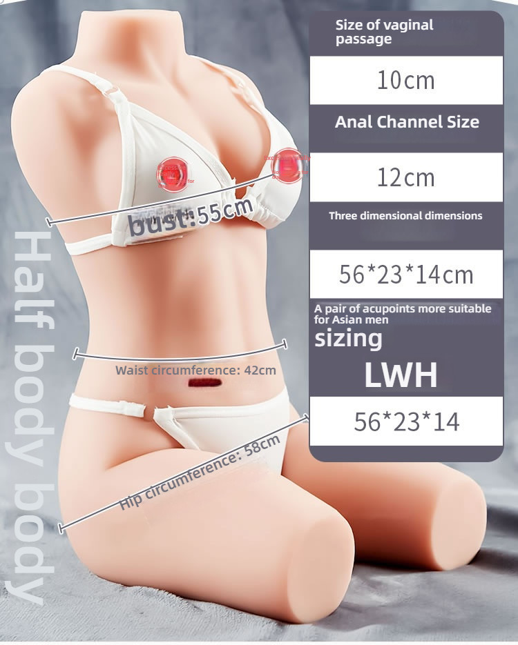 【 Lottery Exclusive 】 Pear Blossom Beauty with Skeleton and Legs Half body Inverted Model Medium 7.5kg